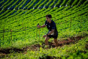 BIB: 
                            <button type="button" onclick="openModal(19160595)" class="btn btn-primary btn-sm float-right btn-popup" data-toggle="modal" data-target=".modal-high-quality">
                        <i class="fas fa-shopping-cart"></i> Add to Cart
                    </button>
                                            <button type="button" onclick="isThisMe(19160595, true)" class="btn btn-success btn-sm float-right btn-popup btn-isme hidden" data-toggle="tooltip" data-placement="bottom" title="นี่คือรูปของคุณใช่ไหม คลิกที่นี่เพื่อเอาเข้าอัลบั้ม">
                        <i class="fas fa-plus"></i> Add to album
                    </button>
                    <button type="button" onclick="isThisMe(19160595, false)" class="btn btn-warning btn-sm float-right btn-popup btn-isnotme hidden">
                        <i class="fas fa-ban"></i> Remove from album
                    </button>